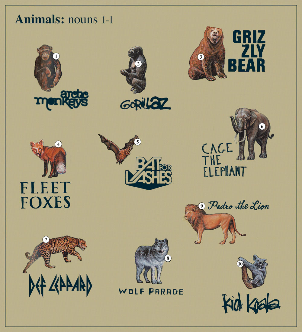 Animal-Band-Names